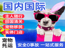 南宁空运地址国际宠物托运 【国
